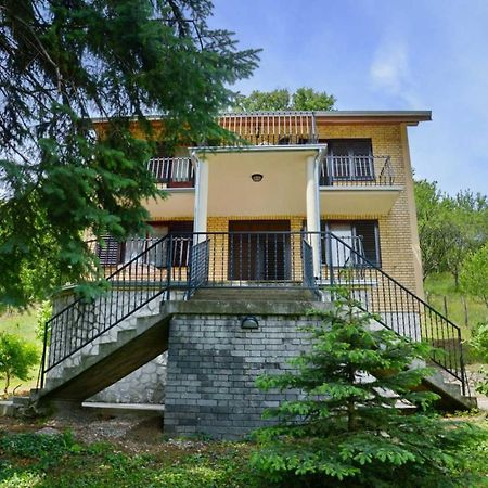 Zoja Apartment Vrdnik Exterior foto